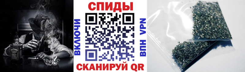 купить закладку  Волгореченск  БУТИРАТ бутик 