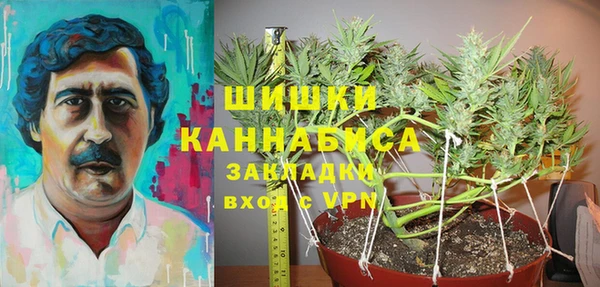 ешки Богданович