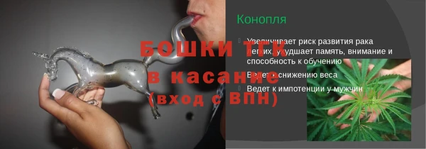 молекула духа Богородск