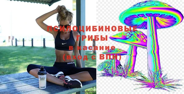 MDMA Белокуриха