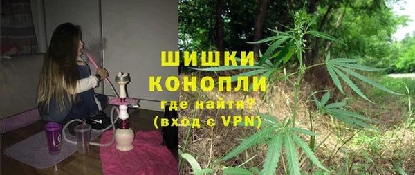 молекула духа Богородск