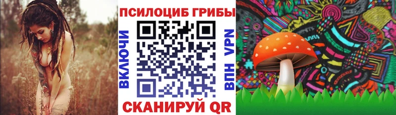 дарнет шоп  мега как войти  Галлюциногенные грибы Magic Shrooms  Волгореченск 