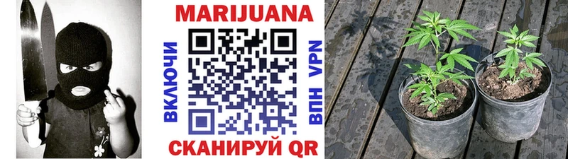 гидра онион  Волгореченск  Канабис индика 